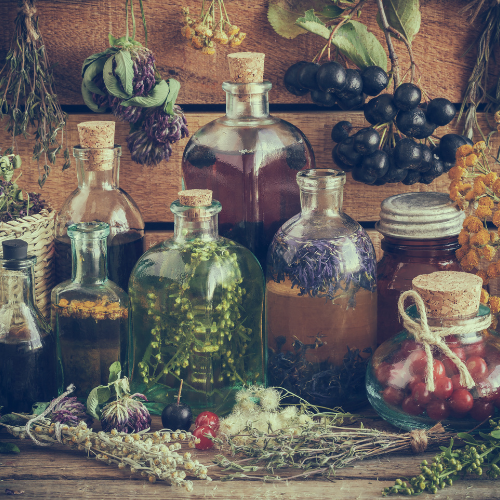 Roots of Herbalism and Herbal Tinctures