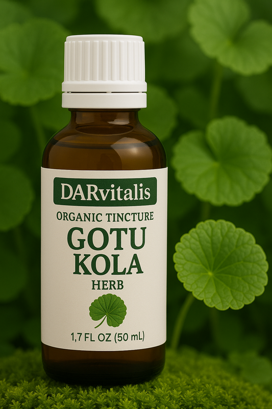 Pre-Order Now! Gotu Kola Tincture